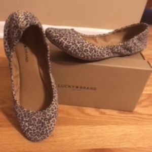 Lucky Brand Leopard Print Ballerina flats sz 10